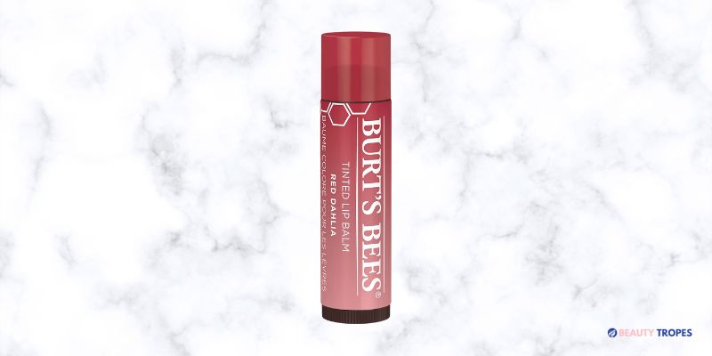 Burt's Bees Tinted Lip Balm in Red Dahlia